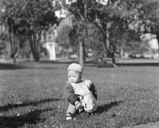 RECORD DATE NOT STATED A native son, Chinatown, San Francisco, between 1896 and 1906. Creator: Arnold Genthe. Copyright:xHeritagexArt HeritagexImagesx IMAGO ,2955038 ! ACHTUNG: AUFNAHMEDATUM GESCHÄTZT!  Copyright:HeritagexArt HeritagexImagesx IMAGO