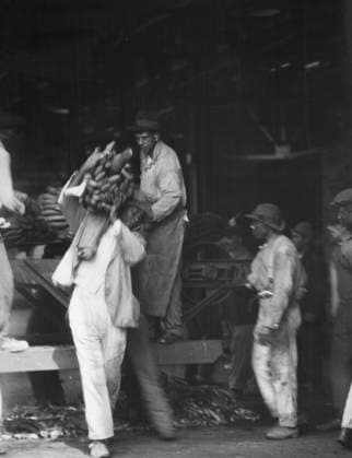 RECORD DATE NOT STATED Unloading bananas, New Orleans, between 1920 and 1926. Creator: Arnold Genthe. Copyright:xHeritagexArt HeritagexImagesx IMAGO ,2955396 ! ACHTUNG: AUFNAHMEDATUM GESCHÄTZT!  Copyright:HeritagexArt HeritagexImagesx IMAGO