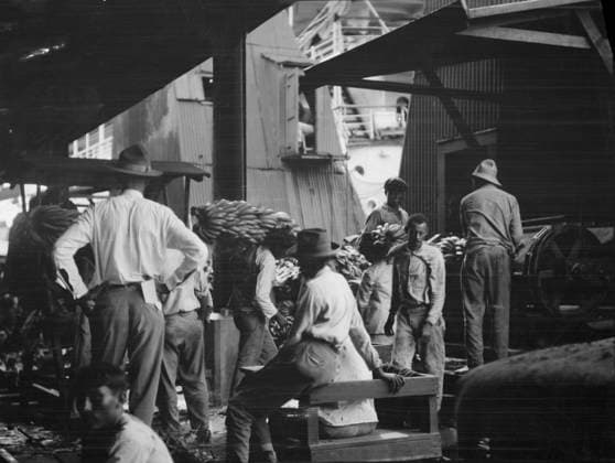 RECORD DATE NOT STATED Unloading bananas, New Orleans, between 1920 and 1926. Creator: Arnold Genthe. Copyright:xHeritagexArt HeritagexImagesx IMAGO ,2955397 ! ACHTUNG: AUFNAHMEDATUM GESCHÄTZT!  Copyright:HeritagexArt HeritagexImagesx IMAGO