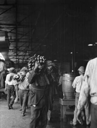 RECORD DATE NOT STATED Unloading bananas, New Orleans, between 1920 and 1926. Creator: Arnold Genthe. Copyright:xHeritagexArt HeritagexImagesx IMAGO ,2955408 ! ACHTUNG: AUFNAHMEDATUM GESCHÄTZT!  Copyright:HeritagexArt HeritagexImagesx IMAGO