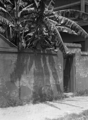 RECORD DATE NOT STATED Wall with a doorway to a courtyard and a house, New Orleans, between 1920 and 1926. Creator: Arnold Genthe. Copyright:xHeritagexArt HeritagexImagesx IMAGO ,2955471 ! ACHTUNG: AUFNAHMEDATUM GESCHÄTZT!  Copyright:HeritagexArt HeritagexImagesx IMAGO
