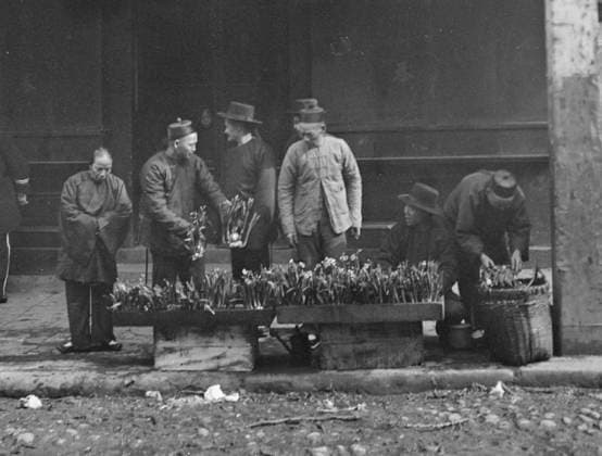 RECORD DATE NOT STATED The lily vendor, Chinatown, San Francisco, between 1896 and 1906. Creator: Arnold Genthe. Copyright:xHeritagexArt HeritagexImagesx IMAGO ,2955551 ! ACHTUNG: AUFNAHMEDATUM GESCHÄTZT!  Copyright:HeritagexArt HeritagexImagesx IMAGO