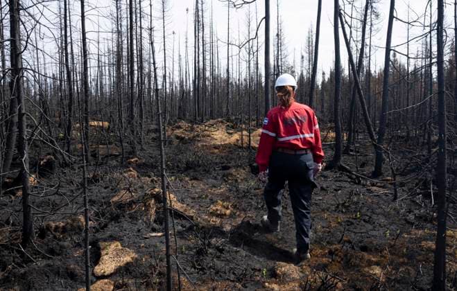 July 5, 2023, Lebel-sur-Quevillon, PQ, Canada: Society of Protection of Forests from Fire (SOPFEU) prevention agent Melanie Morin walks through an area of burned forest in the area surrounding Lebel-sur-Quevillon, Que., Wednesday, July 5, 2023. Lebel-sur-Quevillon Canada  - ZUMAc35_ 20230705_zaf_c35_022 Copyright: xAdrianxWyldx