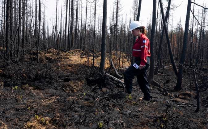 July 5, 2023, Lebel-sur-Quevillon, PQ, Canada: Society of Protection of Forests from Fire (SOPFEU) prevention agent Melanie Morin walks through an area of burned forest in the area surrounding Lebel-sur-Quevillon, Que., Wednesday, July 5, 2023. Lebel-sur-Quevillon Canada  - ZUMAc35_ 20230705_zaf_c35_024 Copyright: xAdrianxWyldx