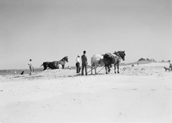 RECORD DATE NOT STATED Beach scene with horses, East Hampton, Long Island, between 1933 and 1942. Creator: Arnold Genthe. Copyright:x HeritagexImagesx IMAGO ,2956232 ! ACHTUNG: AUFNAHMEDATUM GESCHÄTZT!  Copyright: HeritagexImagesx IMAGO