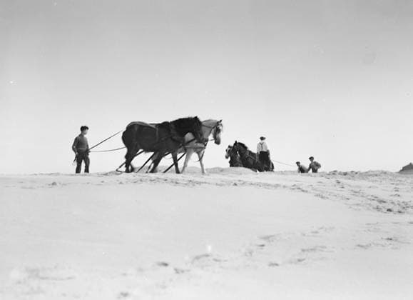 RECORD DATE NOT STATED Beach scene with horses, East Hampton, Long Island, between 1933 and 1942. Creator: Arnold Genthe. Copyright:x HeritagexImagesx IMAGO ,2956233 ! ACHTUNG: AUFNAHMEDATUM GESCHÄTZT!  Copyright: HeritagexImagesx IMAGO