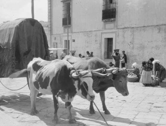 RECORD DATE NOT STATED Travel views of Cuba and Guatemala, between 1899 and 1926. Creator: Arnold Genthe. Copyright:x HeritagexImagesx IMAGO ,2957234 ! ACHTUNG: AUFNAHMEDATUM GESCHÄTZT!  Copyright: HeritagexImagesx IMAGO