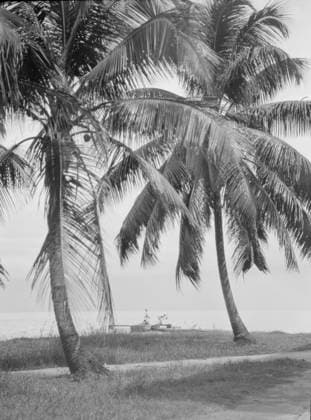 RECORD DATE NOT STATED Travel views of Cuba and Guatemala, between 1899 and 1926. Creator: Arnold Genthe. Copyright:x HeritagexImagesx IMAGO ,2957262 ! ACHTUNG: AUFNAHMEDATUM GESCHÄTZT!  Copyright: HeritagexImagesx IMAGO