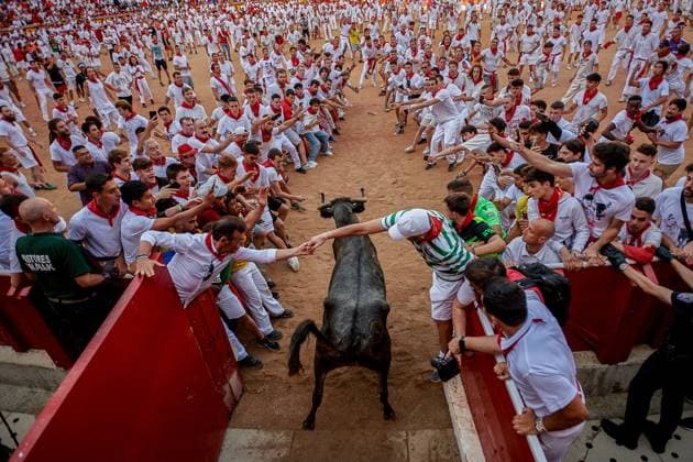 Bilder des Jahres 2023, News 07 Juli News Themen der Woche KW28 News Bilder des Tages July 10, 2023, Pamplona, Navarra, Spain: The heifers leave the bullring after the running of the bulls, where the youngsters run before them, during the festivities of San Fermin 2023. The fourth running of the bulls in Pamplona during the San Fermin festivities, six bulls from the Fuente Ymbro ranch have run the 850-meter section until they reach the Pamplona Bullring in a time of 2 minutes and 53 seconds, leaving several injured by bruises along the way. Pamplona Spain - ZUMAs197 20230710_zaa_s197_071 Copyright: xElsaxAxBravox