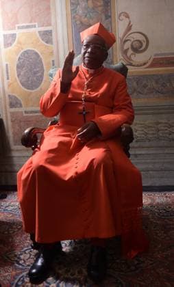Pope Francis Appoints 20 New Cardinals - Vatican Pope Francis appointed new cardinal Julio Duarte Langa of Mozambique during a ceremony at the Vatican City, Vatican, Italy, on February 14, 2015. Pope Francis elevated 20 Roman Catholic bishops and archbishops to the rank of cardinal at a consistory ceremony in St. Peter s Basilica at the Vatican City, Vatican, Italy, on February 14, 2015. Fifteen of the new cardinals are under the age of 80 and known as cardinal electors. Among those taking part in the ceremony at the Vatican s St Peter s Basilica was retired German Pope Benedict XVI. Photo by Eric Vandeville ABACAPRESS.COM Vatican City Vatican (or Holy See)  Copyright: xVandevillexEric ABACAx 487927_069 VandevillexEric ABACAx 487927_069