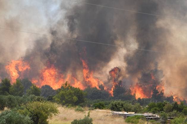 News Themen der Woche KW28 News Bilder des Tages Fire in Sibenik A major fire broke out in Grebastica village in Sibenik, Croatia on July 13, 2023. 79 firefighters with 28 fire trucks, Sibenik Intervention Fire Brigade, three Canadair CL-415 firefighting aircraft, two Air Tractor firefighting aircraft are participating in the extinguishing. HrvojexJelavic PIXSELL