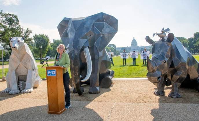 Bilder des Jahres 2023, News 07 Juli News Themen der Woche KW28 News Bilder des Tages Washington DC,July ,13 2023 USA: Ingrid Newkirk, PETA President unveils massive metal sculptures on the National Mall in Washington DC to promote the idea that animals have a different type of cultures and humans are not superior. An anti-PETA protest group gathered near the statues. Patsy Lynch MediaPunch Copyright: xPatsyxLynchx