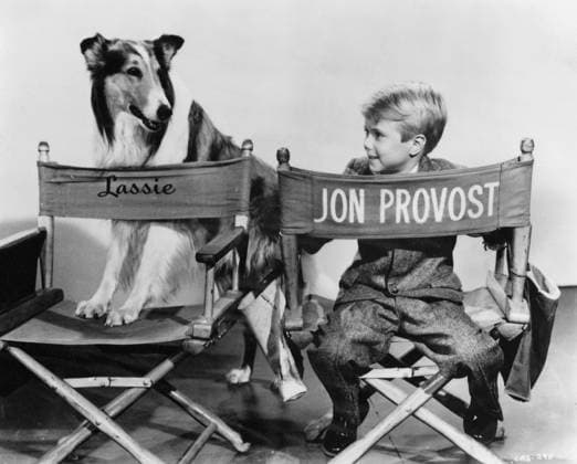 Jon Provost, Lassie, Lassie , circa (1958). Photo credit: CBS  Copyright: xx 34408-590THA The Hollywood Archive