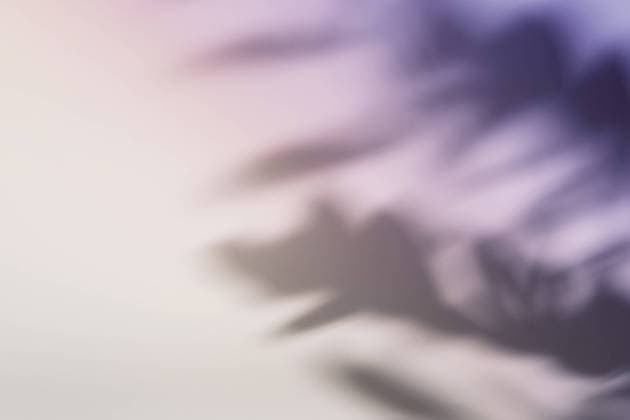 Natural leaves on branch shadow on gradient paper background. Abstract lilac floral backdrop. Soft light Natural leaves on branch shadow on gradient paper background. Abstract lilac floral backdrop. Soft light. Copyright: xZoonar.com ElenaxNazarovax 20310622