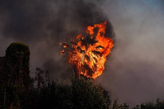 Bilder des Jahres 2023, News 07 Juli News Bilder des Tages Wildlife In Southern Urban Of Attica A burning tree during a wildfire in southern urban of Attica, Greece, on 17, July 2023. Fire fighting forces battling a blaze that broke out on Monday in the Kouvaras area in Attica were further reinforced on Monday afternoon, while a warning was sent via the emergency number 112 to evacuate several settlements in southeast Attica. Attica Greece  Copyright: xGiorgosxArapekosx originalFilename: arapekos-notitle230716_npfUl.jpg