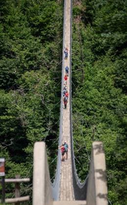 Bellinzona: Hängebrücke auf der Wanderstrecke. Auf einer Länge von 270 Metern überspannt die Tibetische Hängebrücke Carasc ein Tal bei Bellinzona im südschweizer Kanton Tessin. Die Hängebrücke in einem dichten Waldgebiet, die bis zu 130 Meter über dem Tal schwebt, gehört zu einem acht Kilometer langen Wanderweg zwischen den Gemeinden Monte Carasso und Sementina. Das 2015 fertiggestellte Bauwerk kostete mehr als 1,6 Millionen CHF. Der Name Tibetische Brücke resultiert aus der Bauweise. Bellinzona Tessin Schweiz *** Bellinzona Suspension Bridge on the Hiking Trail Over a length of 270 meters, the Tibetan Suspension Bridge Carasc spans a valley near Bellinzona in the southern Swiss canton of Ticino The suspension bridge in a de