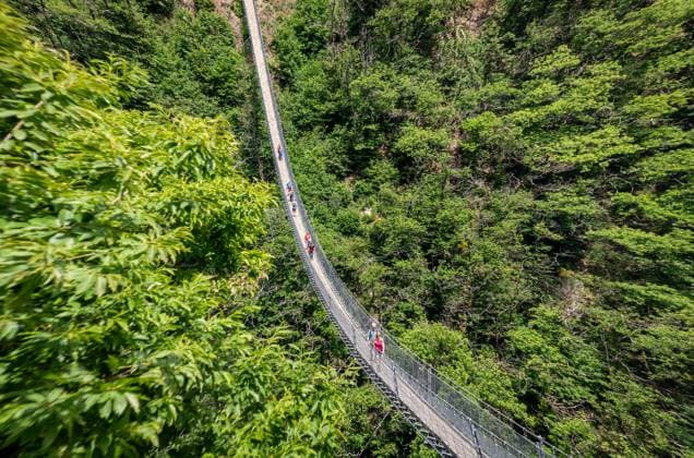 Bellinzona: Hängebrücke auf der Wanderstrecke. Auf einer Länge von 270 Metern überspannt die Tibetische Hängebrücke Carasc ein Tal bei Bellinzona im südschweizer Kanton Tessin. Die Hängebrücke in einem dichten Waldgebiet, die bis zu 130 Meter über dem Tal schwebt, gehört zu einem acht Kilometer langen Wanderweg zwischen den Gemeinden Monte Carasso und Sementina. Das 2015 fertiggestellte Bauwerk kostete mehr als 1,6 Millionen CHF. Der Name Tibetische Brücke resultiert aus der Bauweise. Bellinzona Tessin Schweiz *** Bellinzona Suspension Bridge on the Hiking Trail Over a length of 270 meters, the Tibetan Suspension Bridge Carasc spans a valley near Bellinzona in the southern Swiss canton of Ticino The suspension bridge in a de