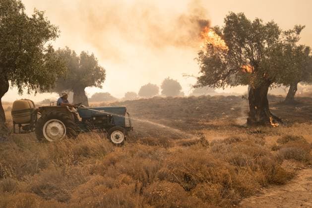 News Bilder des Tages Wildfire In Nea Zoi Of Nea Peramos Locals are helping firefighters to extinguish the fire in Nea Zoi in Nea Peramos, a place near Megara, Greece on July 19, 2023. After three days, firefighters are still fighting with the flames in Nea Zoi. Nea Zoi Greece  Copyright: xNikolasxKokovlisx originalFilename: kokovlis-notitle230719_np0Wg.jpg