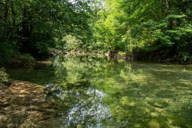 Glasklares Wasser des Flusses Dobra (Nebenfluss des Sella) bei Cangas de Onis, Nationalpark Picos de Europa in Asturien, Nordspanien. Juni 2023 Cangas de Onis - Fluss Dobra *** Crystal clear water of the river Dobra tributary of the Sella near Cangas de Onis, Picos de Europa National Park in Asturias, northern Spain June 2023 Cangas de Onis river Dobra 20230610DSC_4572