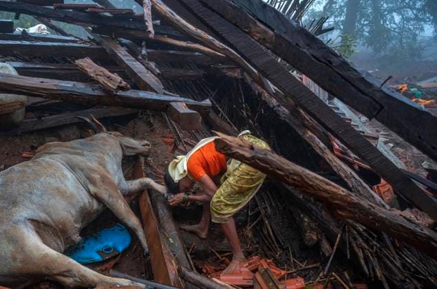 Bilder des Jahres 2023, News 07 Juli News Bilder des Tages RAIGAD, INDIA - JULY 21: Ragi Pardhi, 45, whose 14 relatives were died in the landslide at Irshalwadi village, Khalapur in Raigad, bid farewell to the animals and bull that died in the incident during rescue operations are going on the second day where people trapped under rubble after landslide in Khalapur Irshalwadi Village , on July 21, 2023 in Raigad , India. At least 16 people died and over 100 are feared trapped under debris and loose soil, following a landslide at Irshalwadi, a village in Raigad district, around 63 kilometers from Mumbai. The incident occurred at 10:45 pm on Wednesday when the region was in the grip of heavy rain. The village had a population of 228, of which 103 were rescued. Of the 21 injured, 17 were given first a