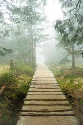 Wandern im Riesengebirge Wandern im Riesengebirge Copyright: xZoonar.com HolgerxW.xSpiekerx 20460290