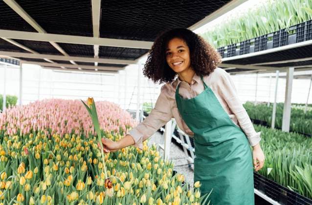 Female hands of african girl in green apron holding tulip against the backdrop of greenhouse Female hands of african girl in green apron holding tulip against the backdrop of greenhouse. Yellow tulip with bulb and root. Young smiling darkskinned gardener with flower seedling ,model released, Symbolfoto Copyright: xZoonar.com DashaxPetrenkox 20497428 ,model released, Symbolfoto ,property released