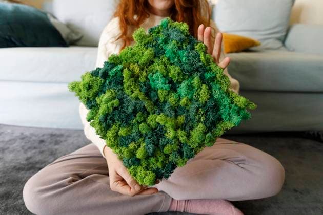 Creative Highlights Symbolbilder Woman holding moss frame at home model released, Symbolfoto property released, TYF00805