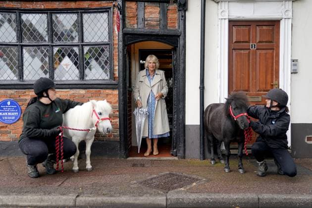 Entertainment Themen der Woche KW30 Entertainment Bilder des Tages Queen Camilla visit to Norfolk Queen Camilla meets two Shetland ponies and their handlers during a visit to Redwings Horse Sanctuary at Anna Sewell House in Great Yarmouth, while on a visit to Norfolk. Redwings Horse Sanctuary have been the custodians of Anna Sewell House since 2022. The House is the verified birthplace of Anna Sewell, author of Black Beauty. Black Beauty is part of a very elite group of around 30 books that have sold more than 50 million copies worldwide. Redwings hopes to use the house to showcase Anna Sewell s legacy in literature and the world of animal welfare. The charity currently care for 1,500 rescued horses, ponies, donkeys and mules across the UK at the sanctuary sites, with 700 more living out in Guardian home.,  Copyright: xJacobxKingx xAvalonx 0791580275