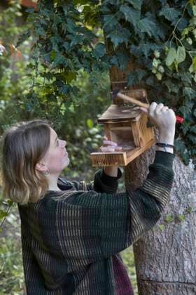 Bau eines Futterhaeuschens fuer Eichhoernchen, Schritt 12: fertiger Futterkasten wird an einem Baumstamm angebracht, Serienbild 12 13 making a feeder for squirrels, step 12: ready box is fixed at a tree trunk, series picture 12 13 BLWS691598 *** Construction one Futterhaeuschens for Squirrel, Step 12 finished Feeding box will to a Tree trunk attached, Serial picture 12 13 Making a Feeder for squirrels, Step 12 Ready Box IS Fixed AT a Tree trunk, Series Picture 12 13 BLWS691598 Copyright: xblickwinkel F.xHeckerx