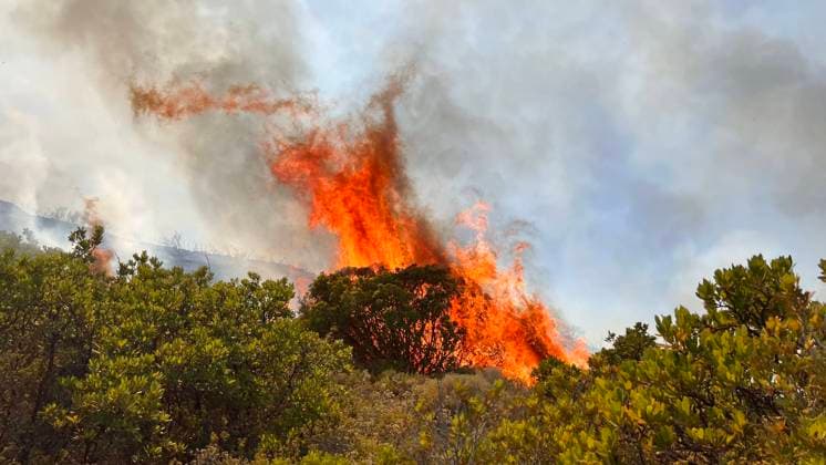 News Bilder des Tages Fire burns vegetation in the central part of the Greek island of Rhodes, on July 25, 2023. (CTKxPhoto PavelxNemecek) CTKPhotoF202307250027001  CTKPhotoF202307250027001