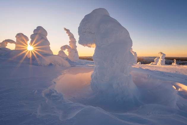 Eingeschneite Bäume, Winterlandschaft, Riisitunturi-Nationalpark, Posio, Lappland, Finnland, Europa Copyright: imageBROKER/RobertxHaasmann ibxroh09440656.jpg