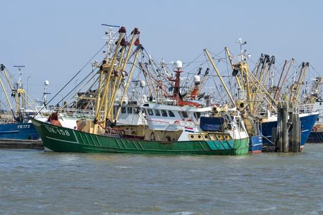 Holland, North sea fisheries NETHERLANDS, Lauwersoog port, crab fishing boats in harbour *** NIEDERLANDE, Lauwersoog, Krabbenfischer, Fischerboote im Hafen Lauwersoog Netherlands