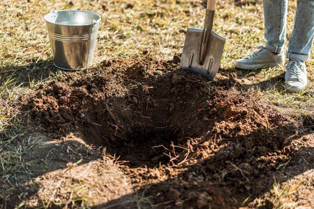  Mann gräbt Loch mit Schaufel Pflanzbaum *** Man digs Hole with Shovel Planting tree Copyright: imageBROKER/OleksandrxLatkun ibxole09445588.jpg ,model released, Symbolfoto ,property released