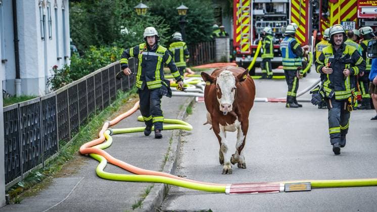 News Themen der Woche KW30 30.07.2023; Poigenberg, Pastellen, Fendsbach, Landkreis Erding, Bayern, Deutschland - Großbrand und Feuerwehreinsatz einer Scheune mit Tierhaltung. Starke Rauchwolken entlang der Autobahn A94 Großbrand, Feuer, Brandkatastrophe, Viehbetrieb, Tierfarm, Nutztierhaltung, Kuh, Rind, Milchkuh, Bauernhof, Landwirtschaftsbetrieb, Landgut, Scheune, Stall, Viehunterkunft, Großeinsatz, Freiwillige Feuerwehr, Polizei, Katastrophenschutz *** 30 07 2023 Poigenberg, Pastellen, Fendsbach, County Erding, Bavaria, Germany Major fire and firefighting operation of a barn with animal husbandry Heavy clouds of smoke along the A94 freeway Major fire, fire, fire disaster, livestock farm, animal farm, livestock husbandry, cow, cattle, dairy cow, farm, farm, es