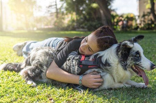 Red-haired girl with pigtails lying on the grass in a park hugging her black and white dog. Natures embrace, copy space *** Roter haired Mädel mit Zöpfe liegendes am der Gras ÊIn einer parkähnliche umarmend her Schwarz und weiß Hund Natures embrace, Kopie Weltraum 19200197 ,model released, Symbolfoto RECORD DATE NOT STATED