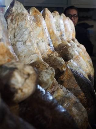 August 2, 2023, Lima, Lima, Peru: Fossilized vertebrae of the Perucetus Colossus , the heaviest animal in the history of the earth, at the Natural History Museum of the National University of San Marcos (UNMSM). The Perucetus Colossus was a cetacean that lived 39 million years ago and it is believed that, with a length of 20 meters, it weighed 199 tons. The Fossil was discovered by the Peruvian Paleontologist Mario Urbina in 2013 in the Ica desert. Lima Peru - ZUMAg240 20230802_zip_g240_004 Copyright: xCarlosxGarciaxGranthonx