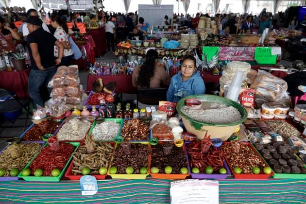 IX Festival of Indigenous Cultures, Towns and Original Neighborhoods of Mexico City August 4, 2023, Mexico City, Mexico: IX Festival of Indigenous Cultures, Peoples and Original Neighborhoods of Mexico City starts from August 4 to 6, at the Zocalo in Mexico City. on August 4, 2023 in Mexico City, Mexico, Credit:Luis Barron Eyepix Group Avalon Mexico, Mexico City, Mexico City  Copyright: xLuisxBarronx xEyepixxGroupx xAvalonx 0794466597