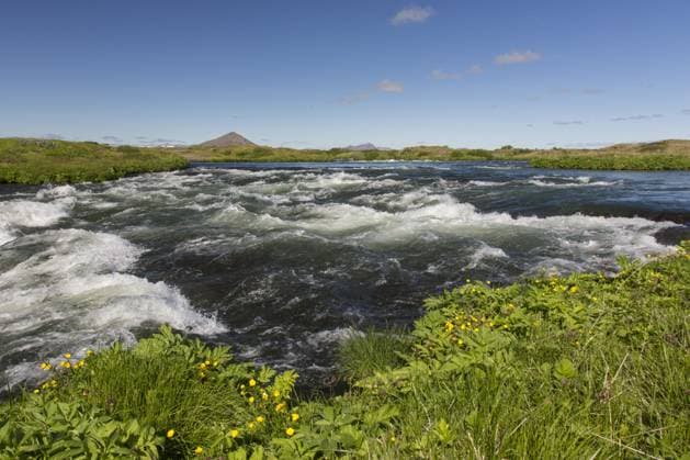 Creative Highlights World Der Abfluss des Flusses Laxá im Sommer, einer der besten Bachforellenflüsse der Welt, der aus dem Mývatn See im Norden Islands fließt *** the Outflow of River Laxá at Summer, a the best Brook Trout Rivers the World, the from the Mývatn Lake at North Islands flows Copyright: imageBROKER/alimdix/xArterrax/xSvenxErikxArndt ibltsm09442878.jpg