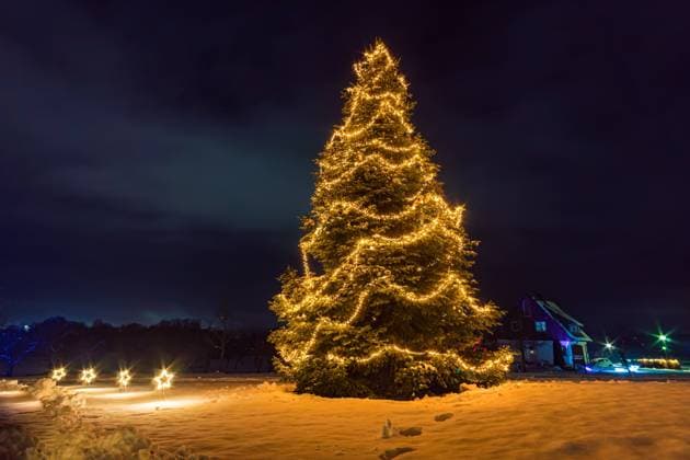 Christmas lighting with colorful atmosphere at the Princely Winter Glow in Bad Waldsee Beautiful Christmas lighting with colorful atmosphere at the Princely Winter Glow in Bad Waldsee in Upper Swabia Copyright: xZoonar.com MichaelxPedrottix 16449680