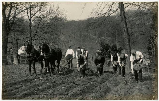 Royal Victoria Hospital Farm Colony, Polton, Scotland Patients plough the land and plant seed potatoes at the Farm Colony (founded in 1910) at The Royal Victoria Hospital, founded in 1894. Together with the Dispensary these formed the nucleus of the Edinburgh Scheme for combating tuberculosis. In 1914, the Dispensary, Hospital and Farm Colony were given to the City of Edinburgh and the Royal Victoria Tuberculosis Trust was founded. These came under the management of the Royal Victoria and Associated Hospitals NHS Trust in 1948, and the North Lothian District of Lothian Health Board in 1974. Date: circa 1910  Copyright: Copyrightx(c)Geminix2023.xCredit:xGemini 11100847