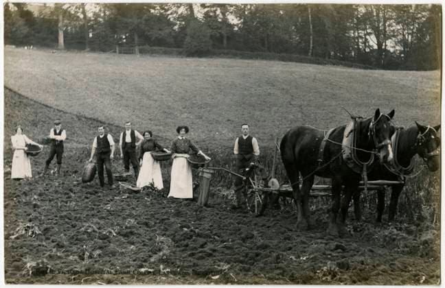 Royal Victoria Hospital Farm Colony, Polton, Scotland Patients ploughing and seeding the fields at the Farm Colony (founded in 1910) at The Royal Victoria Hospital, founded in 1894. Together with the Dispensary these formed the nucleus of the Edinburgh Scheme for combating tuberculosis. In 1914, the Dispensary, Hospital and Farm Colony were given to the City of Edinburgh and the Royal Victoria Tuberculosis Trust was founded. These came under the management of the Royal Victoria and Associated Hospitals NHS Trust in 1948, and the North Lothian District of Lothian Health Board in 1974. Date: circa 1910  Copyright: Copyrightx(c)Geminix2023.xCredit:xGemini 11100849