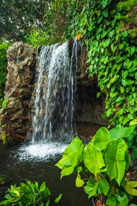 Waterfall at the Singapore Botanic Gardens, Singapore.  Copyright: xRussxBishopx x AS32 RBS0077