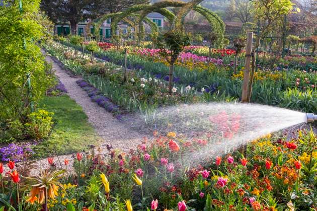 France, Giverny. Water spraying flowers in Monet s Garden. Credit as: Wendy Kaveney Jaynes Gallery DanitaDelimont. com  Copyright: xWilliamxD.xJaynesx(BJY)x x EU09 BJY0134
