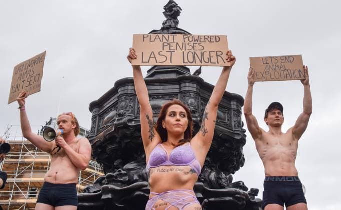 Bilder des Jahres 2023, News 08 August News Themen der Woche KW32 News Bilder des Tages August 12, 2023, London, England, United Kingdom: Vegan activists stripped down to their underwear in Piccadilly Circus in protest against eating and wearing products made from animals and to promote veganism, with the protest theme billed as Eating animals is not sexy London United Kingdom - ZUMAv130 20230812_zip_v130_001 Copyright: xVukxValcicx