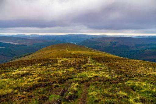 Pictures from The Wicklow Mountains National Park *** Bilder von der Wicklow Gebirge Nationaler parkähnliche 8220607 RECORD DATE NOT STATED
