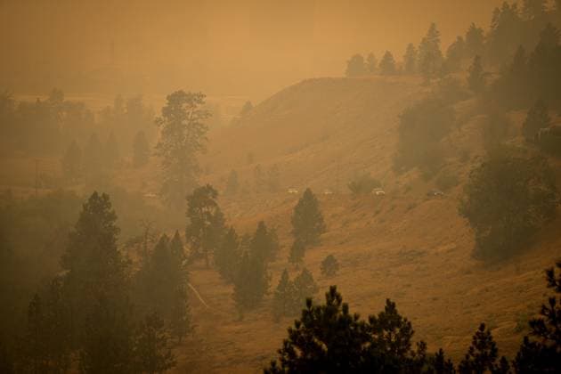 August 19, 2023, KELOWNA, BC, CANADA: Smoke from wildfires fills the air as motorists travel on a road on the side of a mountain, in Kelowna, B.C., Saturday, Aug. 19, 2023. KELOWNA CANADA  - ZUMAc35_ 20230819_zaf_c35_024 Copyright: xDarrylxDyckx