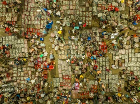 News Themen der Woche KW33 JIEYANG, CHINA - AUGUST 19: Aerial view of fishermen and merchants striking deals at the Port of Shen Quan on August 19, 2023 in Jieyang, Guangdong Province of China.  Copyright: xVCGx 111450384064