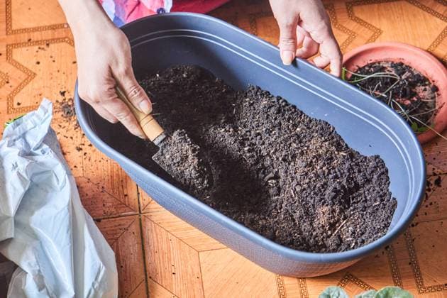 From above of crop anonymous hands of female gardener preparing soil for planting in pot on floor at home Model Released JoseDeJesusSaldana_ID15783_480379_010 Copyright: xJosexDexJesusxSaldanax RECORD DATE NOT STATED