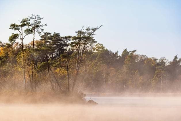  Morgennebel in einem Feuchtgebiet im Herbst, Schweden, Europa *** Morning mist in a Wetland at Autumn, Sweden, Europe Copyright: imageBROKER/LarsxJohansson ibxljo09511940.jpg