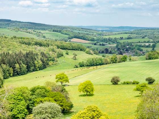 View from The Trundle, Goodwood, South Downs National Park, West Sussex, England, United Kingdom, Europe Copyright: JeanxBrooks 667-2741 RECORD DATE NOT STATED